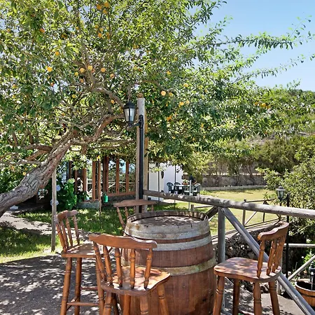 Carmenes Icod De Los Vinos