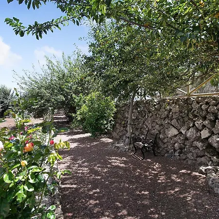 Carmenes Icod De Los Vinos
